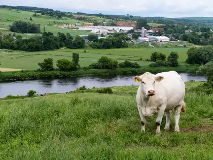 Beauce et Québec