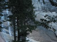 IMG 0387