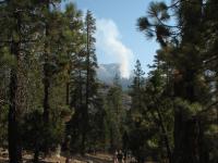 IMG 0428