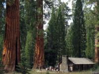 IMG 0674-0675a
