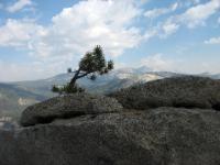 IMG 0836a