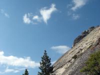 IMG 0854a