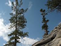 IMG 0859a
