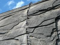 IMG 0974a