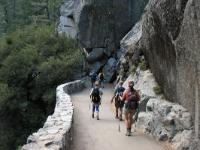 IMG 0987a