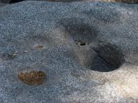 IMG 0998a