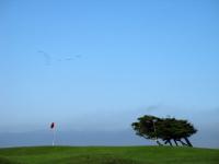 IMG 1528a