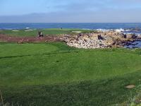 IMG 1543a