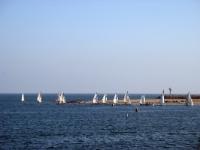 IMG 1922a