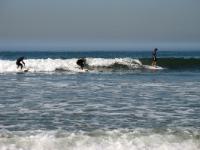 IMG 2516a
