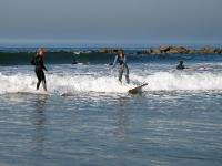 IMG 2519a