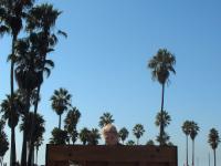 IMG 2544b