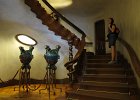 IMG 3014