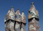 IMG 3153