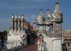 IMG 3154