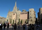 IMG 2482