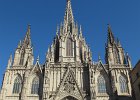 IMG 2484