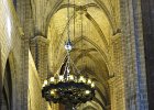 IMG 2503