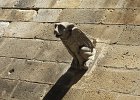 IMG 3791
