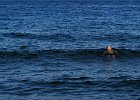 IMG 3870c