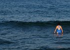 IMG 3879b