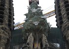 IMG 3685