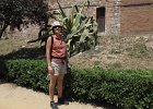 IMG 3955