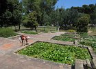 IMG 3962