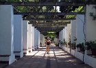 IMG 3968a