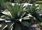 IMG 3983