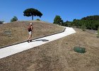IMG 3993a