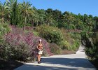 IMG 4002