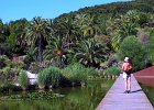 IMG 4012a