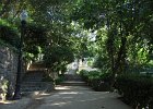 IMG 4035