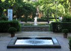 IMG 4039a