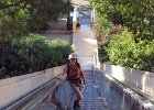 IMG 4042a