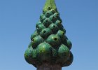 IMG 2629