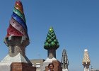 IMG 2632