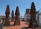 IMG 2641