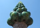 IMG 2663