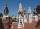IMG 2665