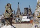 IMG 2673