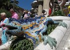 IMG 3389