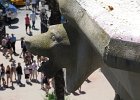 IMG 3440