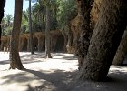 IMG 3460a