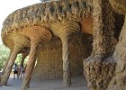 IMG 3468
