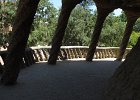 IMG 3470