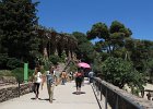 IMG 3493