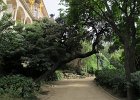 IMG 3291