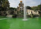 IMG 3331